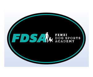 FDSA Car Magnet