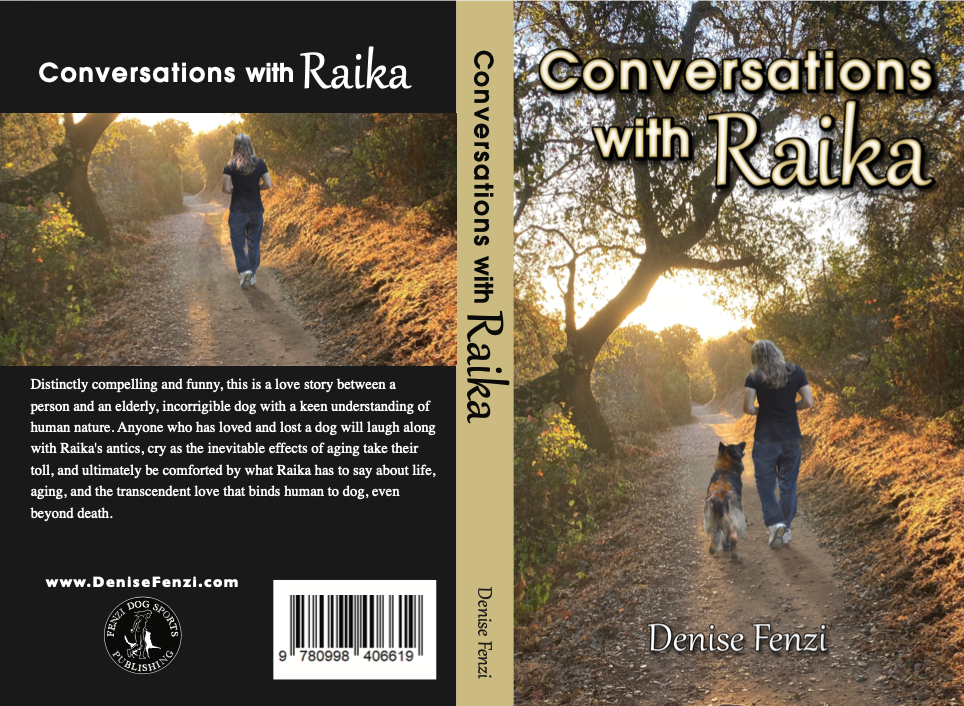 Conversations with Raika is now available!